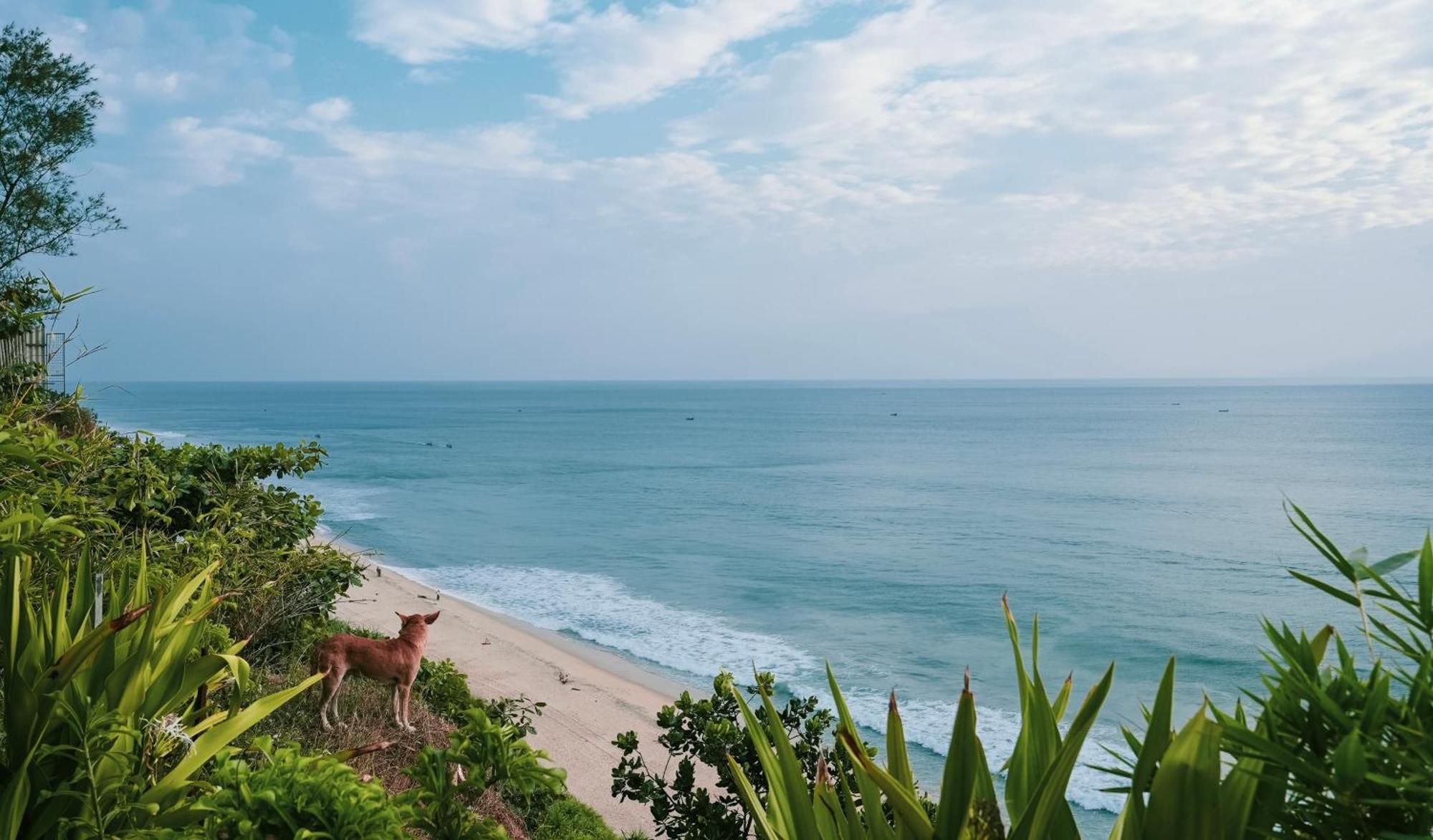 Nidra By Sarwaa Bed & Breakfast Varkala Dış mekan fotoğraf